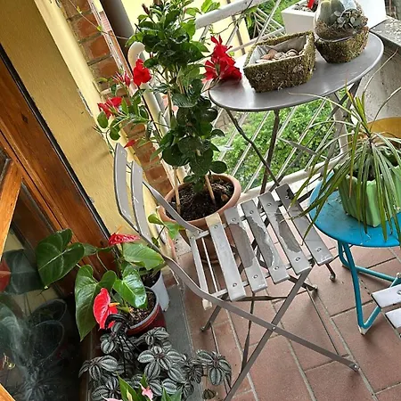 Lara House * Forcoli